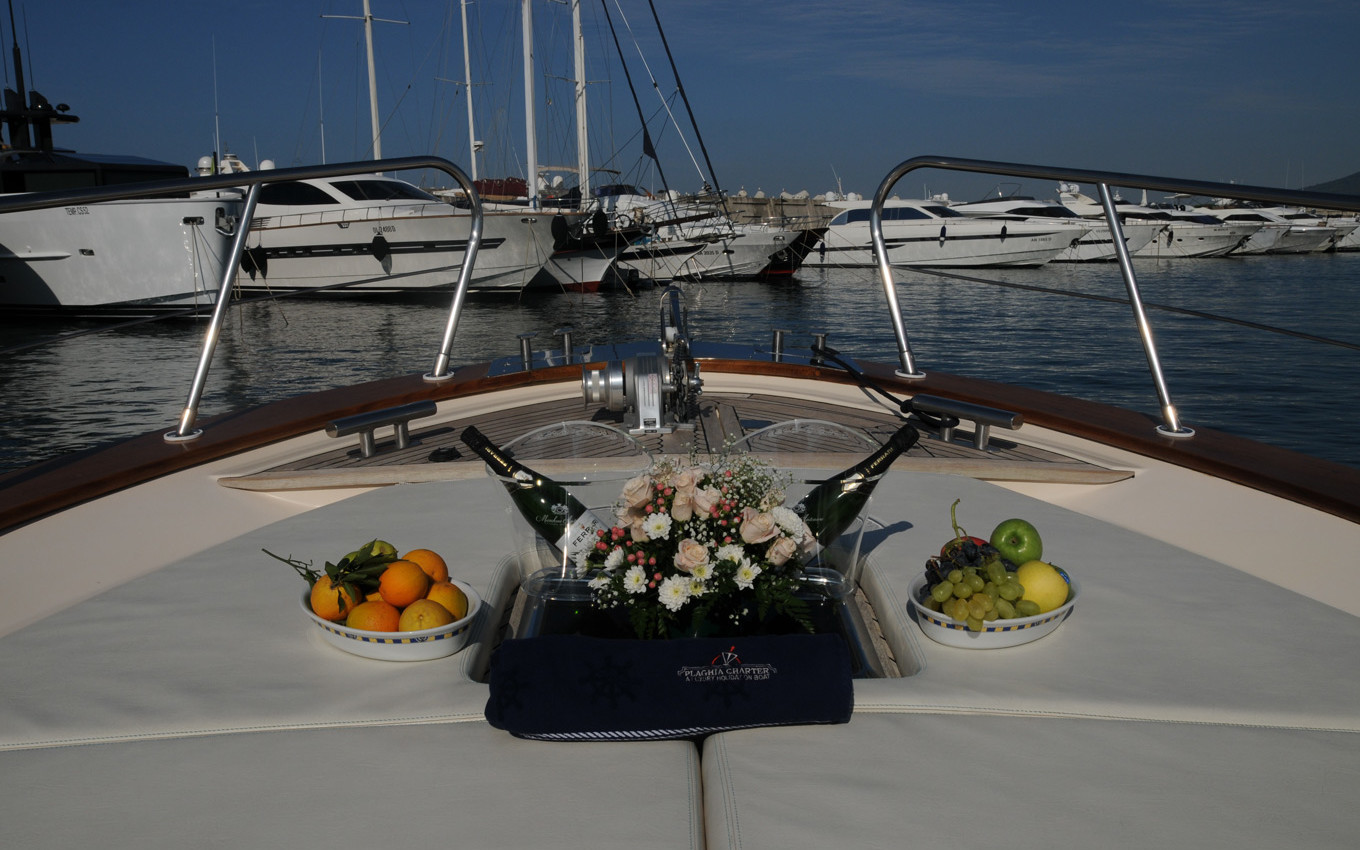 Plaghia Charter